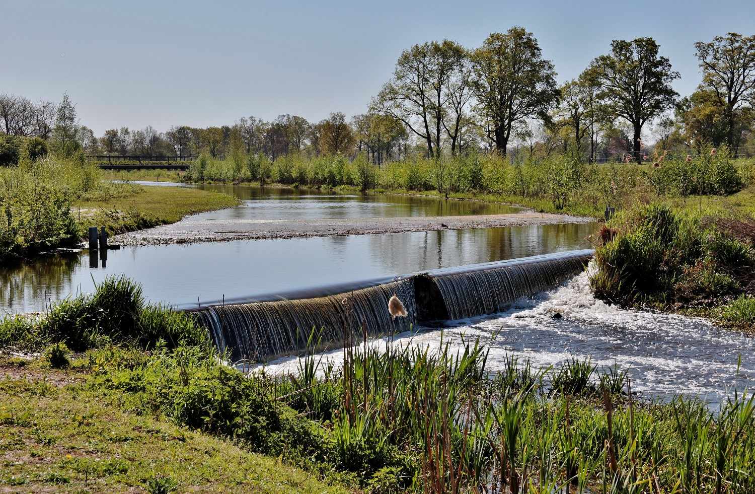 Drainage Network