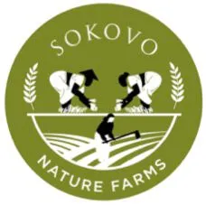 Logo 1
